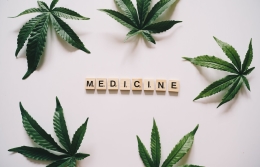 En Ucrania legalizaron el cannabis medicinal
